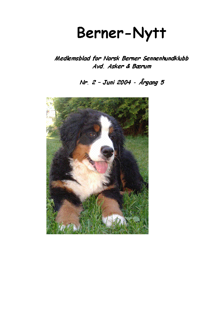 Tekstboks: Berner-NyttMedlemsblad for Norsk Berner SennenhundklubbAvd. Asker & B�rumNr. 2 � Juni 2004 - �rgang 5			￼					