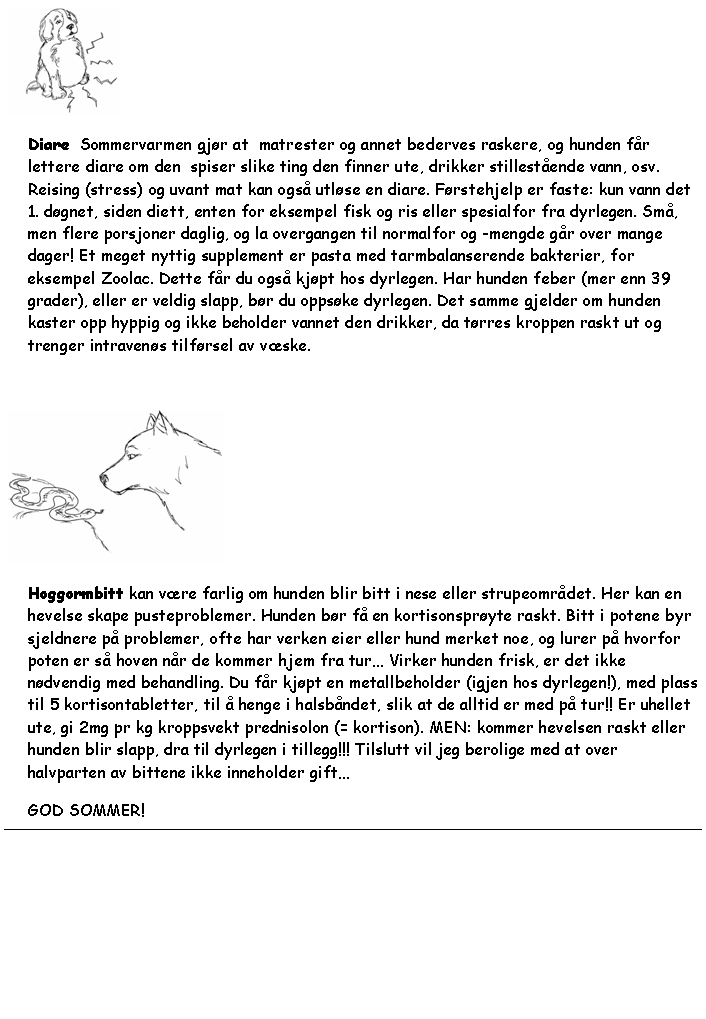 Tekstboks: ￼Diare  Sommervarmen gj�r at  matrester og annet bederves raskere, og hunden f�r lettere diare om den  spiser slike ting den finner ute, drikker stillest�ende vann, osv. Reising (stress) og uvant mat kan ogs� utl�se en diare. F�rstehjelp er faste: kun vann det 1. d�gnet, siden diett, enten for eksempel fisk og ris eller spesialfor fra dyrlegen. Sm�, men flere porsjoner daglig, og la overgangen til normalfor og -mengde g�r over mange dager! Et meget nyttig supplement er pasta med tarmbalanserende bakterier, for eksempel Zoolac. Dette f�r du ogs� kj�pt hos dyrlegen. Har hunden feber (mer enn 39 grader), eller er veldig slapp, b�r du opps�ke dyrlegen. Det samme gjelder om hunden kaster opp hyppig og ikke beholder vannet den drikker, da t�rres kroppen raskt ut og trenger intraven�s tilf�rsel av v�ske. ￼Hoggormbitt kan v�re farlig om hunden blir bitt i nese eller strupeomr�det. Her kan en hevelse skape pusteproblemer. Hunden b�r f� en kortisonspr�yte raskt. Bitt i potene byr sjeldnere p� problemer, ofte har verken eier eller hund merket noe, og lurer p� hvorfor poten er s� hoven n�r de kommer hjem fra tur� Virker hunden frisk, er det ikke n�dvendig med behandling. Du f�r kj�pt en metallbeholder (igjen hos dyrlegen!), med plass til 5 kortisontabletter, til � henge i halsb�ndet, slik at de alltid er med p� tur!! Er uhellet ute, gi 2mg pr kg kroppsvekt prednisolon (= kortison). MEN: kommer hevelsen raskt eller hunden blir slapp, dra til dyrlegen i tillegg!!! Tilslutt vil jeg berolige med at over halvparten av bittene ikke inneholder gift�GOD SOMMER! 