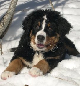 Oona Mi Amore - Oona